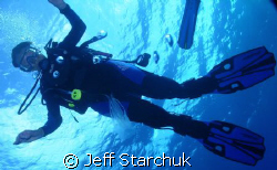 its ok Cindy the jellyfish just ate by Jeff Starchuk 